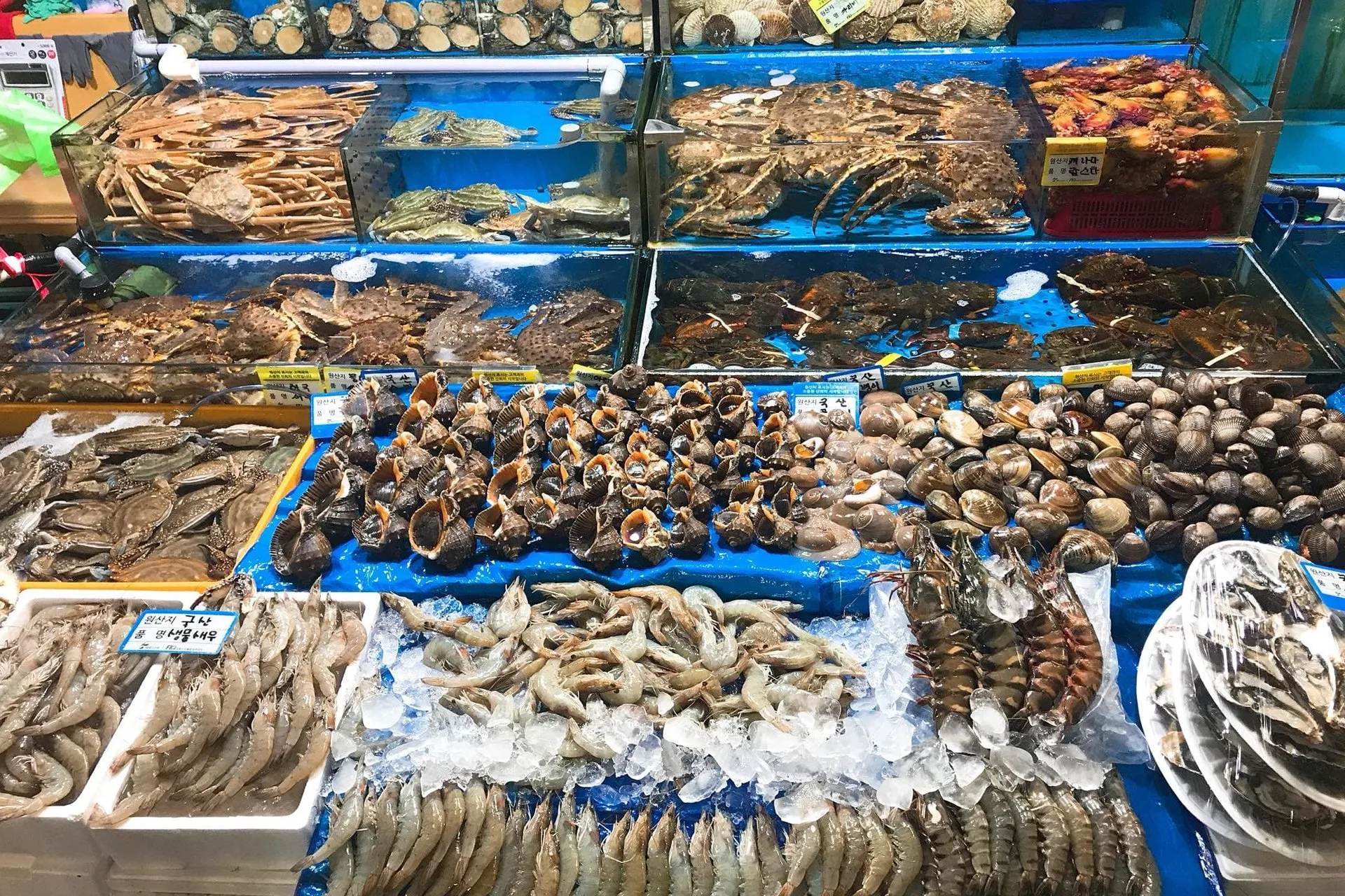 Phú Quốc nổi tiếng với các món hải sản tươi sống