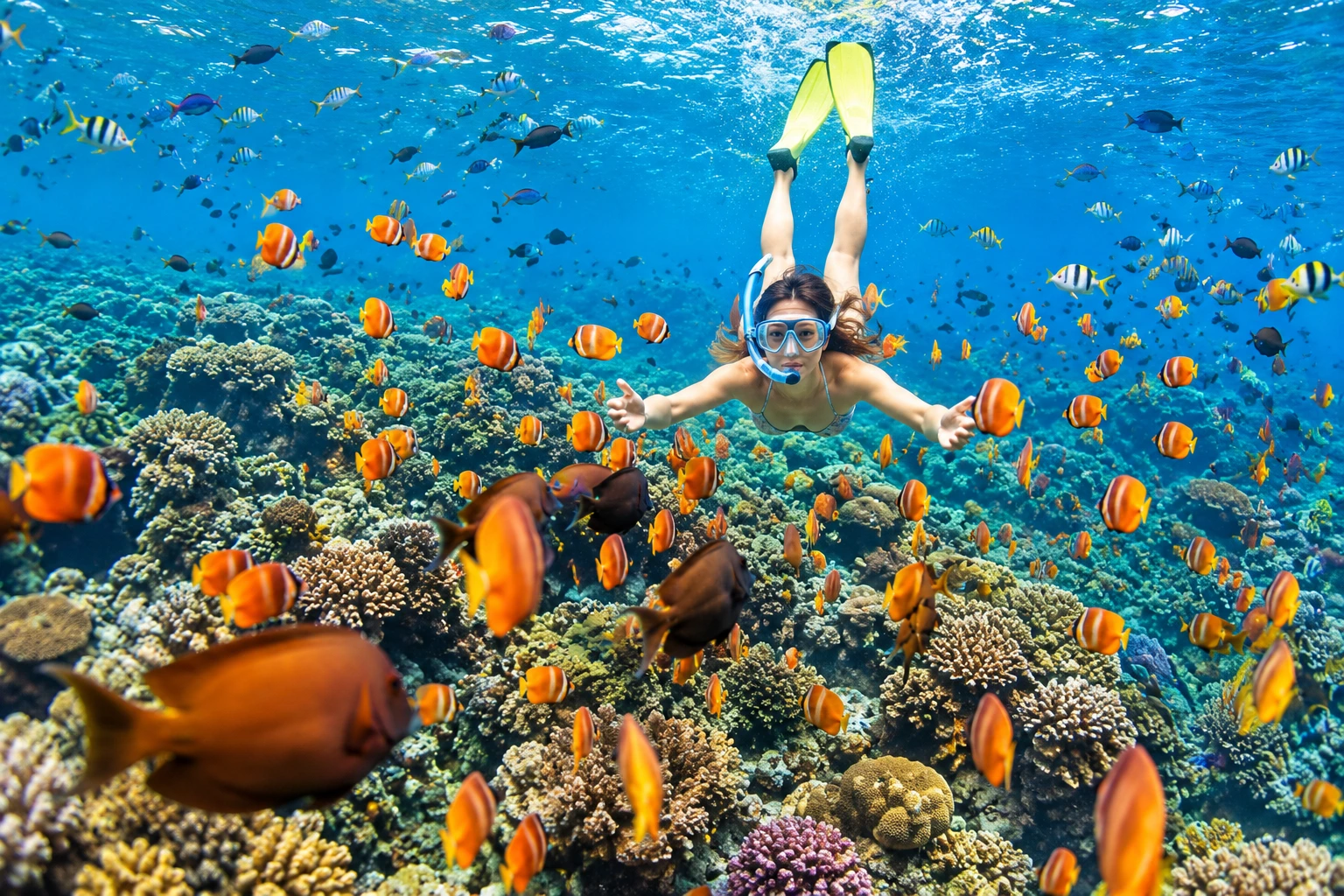 Du lịch Nha Trang tháng 12 có rất nhiều trải nghiệm thú vị