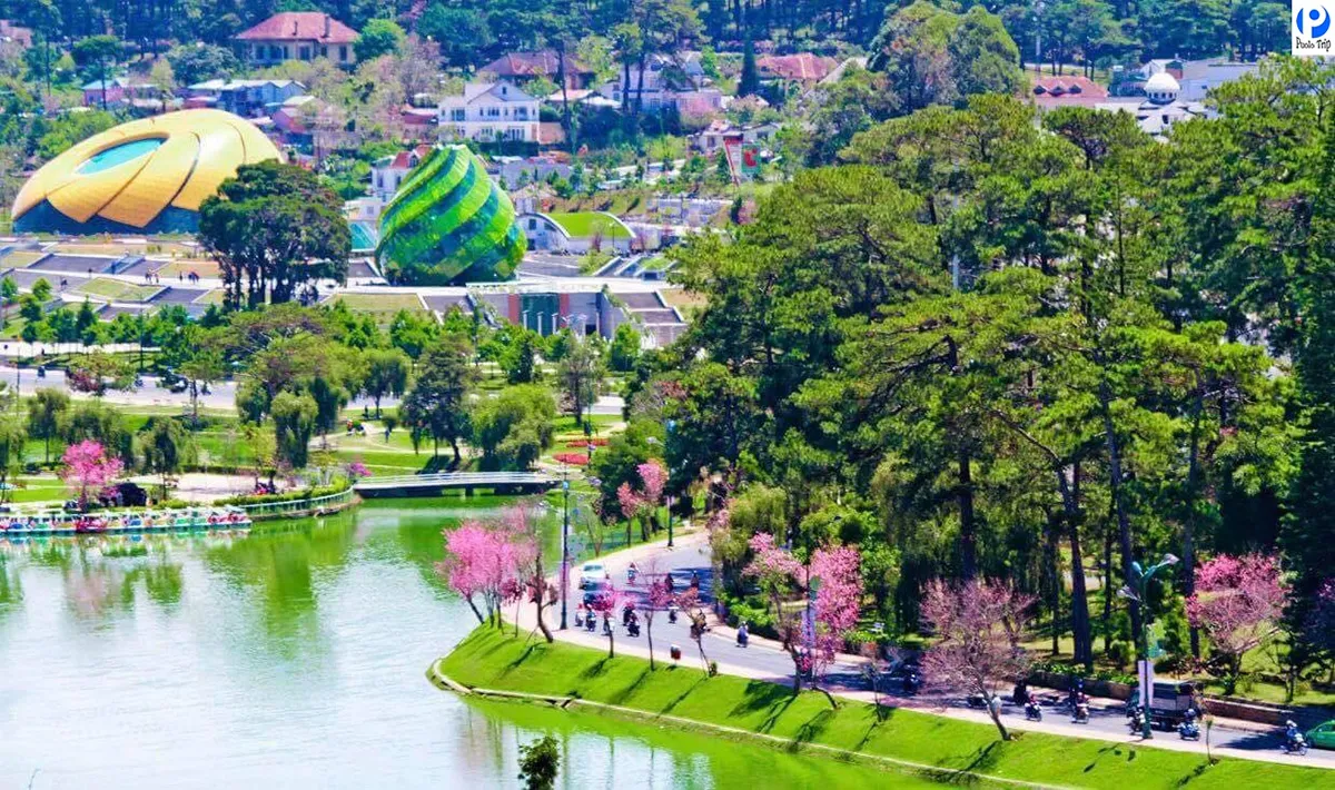 Đà Lạt luôn mang một vẻ đẹp thơ mộng và nhẹ nhàng rất riêng