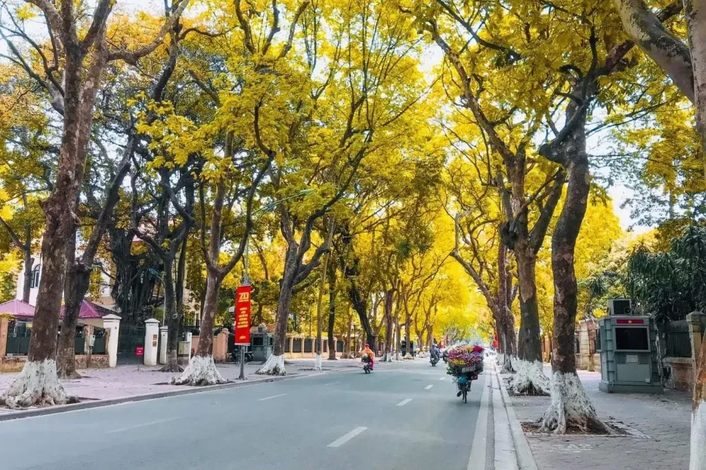 Hà Nội những ngày tháng 8 mang một vẻ đẹp lãng mạn, dịu dàng