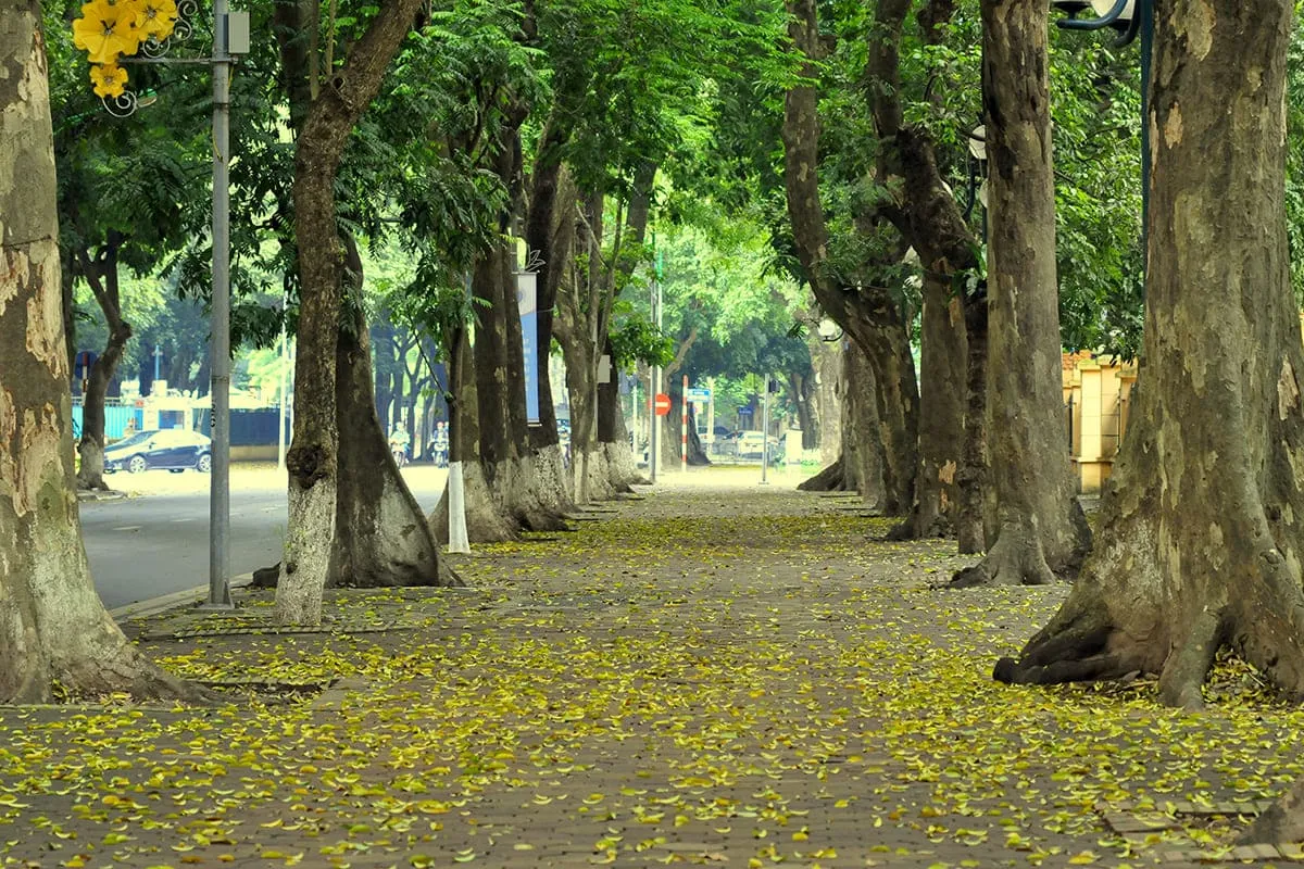 Hà Nội tháng 9 mang vẻ đẹp lãng mạn của khúc giao mùa